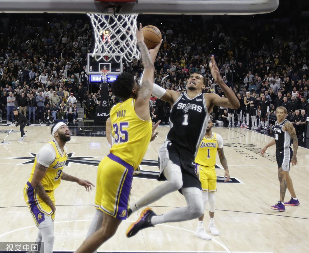 自己是鱼腩 自己是鱼腩