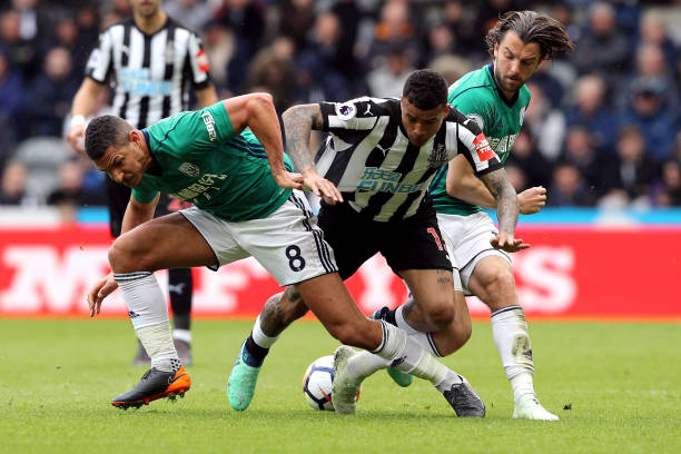 巩固了他们 巩固了他们